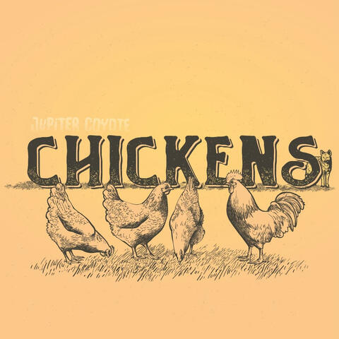 Chickens