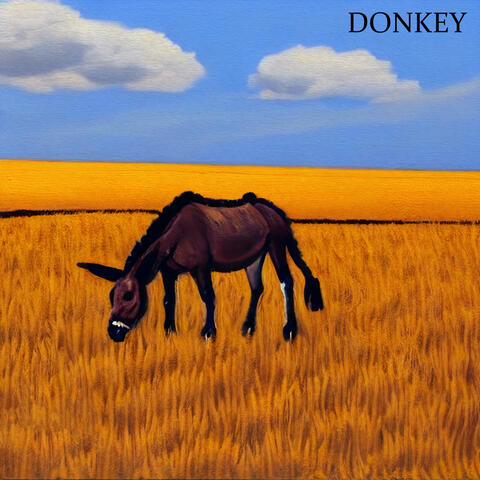 Donkey