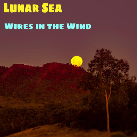 Wires in the Wind
