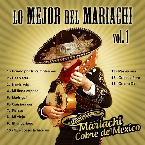 Lo Mejor Del Mariachi, Vol. 1