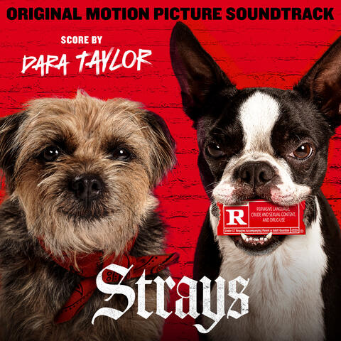 Strays (Original Motion Picture Soundtrack)