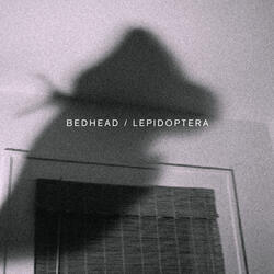 Leper