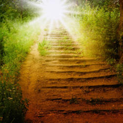 In to the light