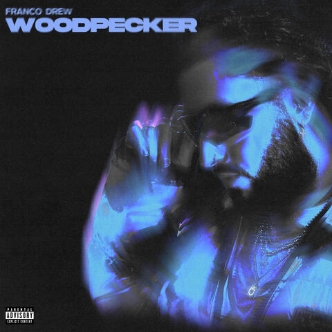 Woodpecker