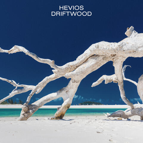 Driftwood