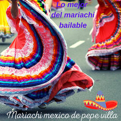 Bajo El Cielo De Chihuahua