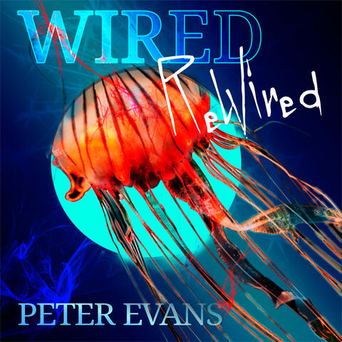Wired - Rewired