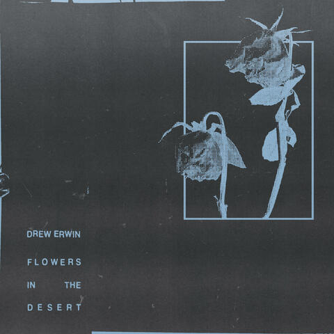 Flowers in the Desert
