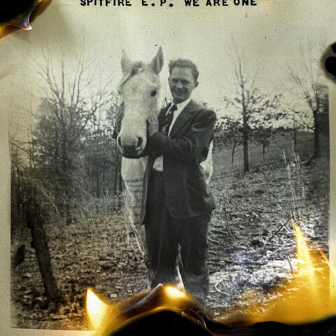 Spitfire