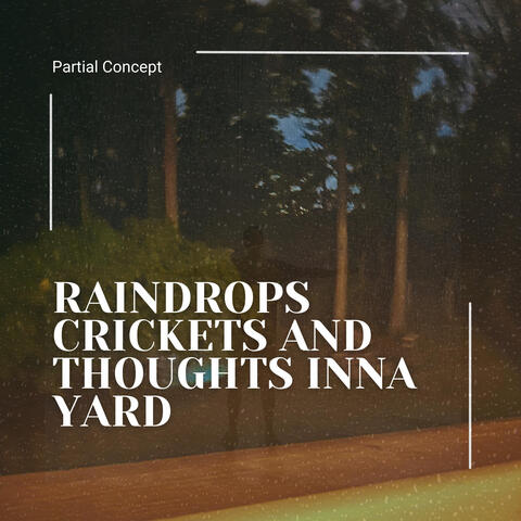 Raindrops Crickets and Thoughts Inna Yard