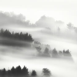 Zen_Garden_Harmony
