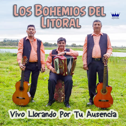 Vivo Llorando por Tu Ausencia