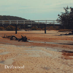 Driftwood