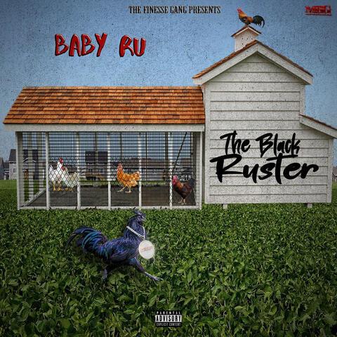 THE BLACK RUSTER