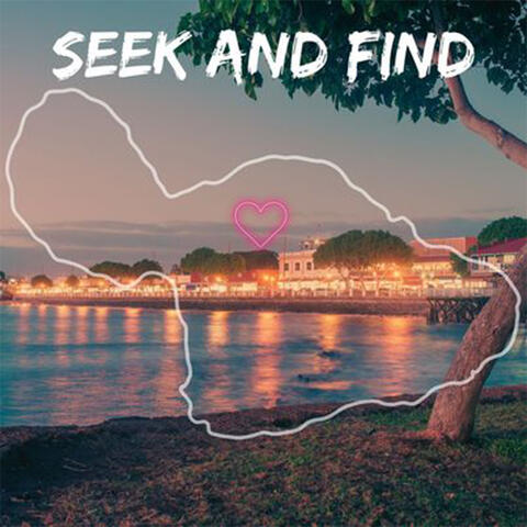 Seek and Find