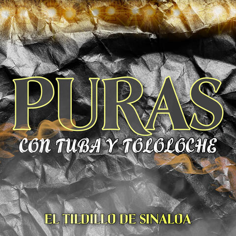 Puras Con Tuba Y Tololoche