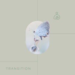 Transition