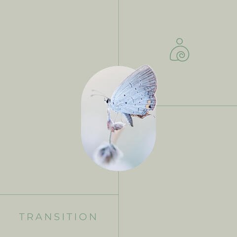 Transition