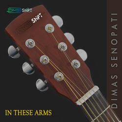 In These Arms