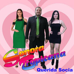 Querida Socia