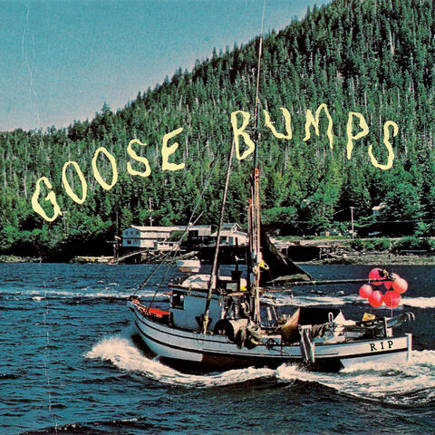 Goose Bumps
