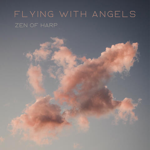 Flying with Angels