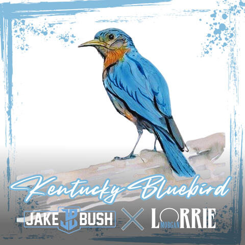 Kentucky Bluebird