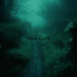 true love (sped up)