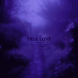 true love (slowed + reverb)