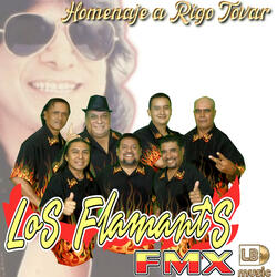 Homenaje a Rigo Tovar