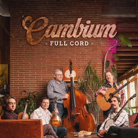 Cambium