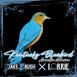 Kentucky Bluebird