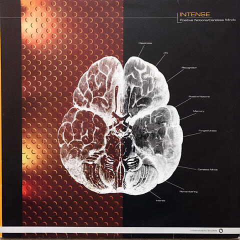 Positive Notions / Careless Minds