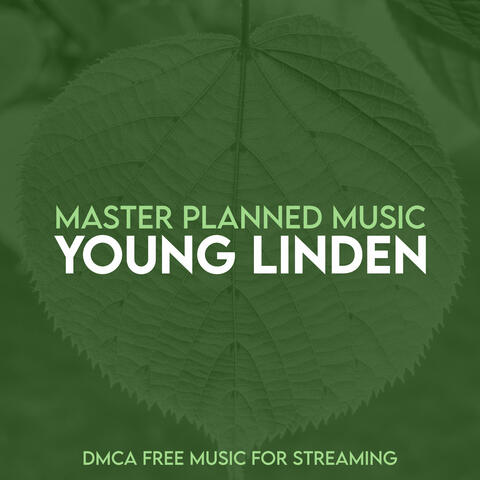 Young Linden