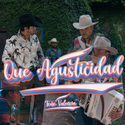 Que Agusticidad (La Cumbia de Don Silverio) - Single