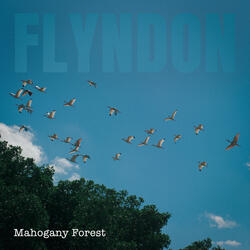 Mahogany Forest