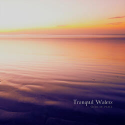 Tranquil Waters
