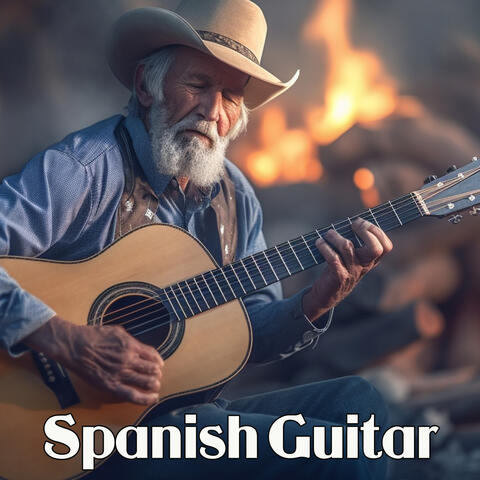 Bossa Nova Expressions