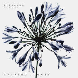 Calming Lights