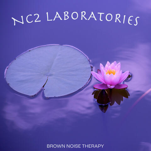 Brown Noise Therapy