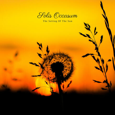 The Setting Of The Sun