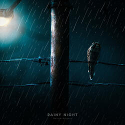 Rainy Night