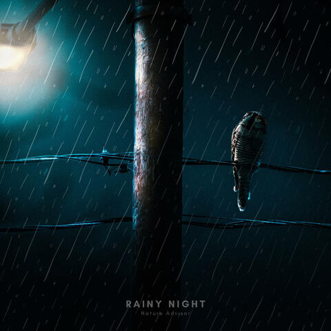 Rainy Night