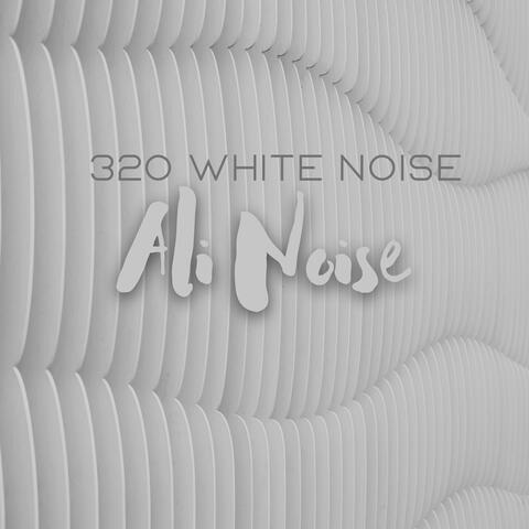 320 White Noise