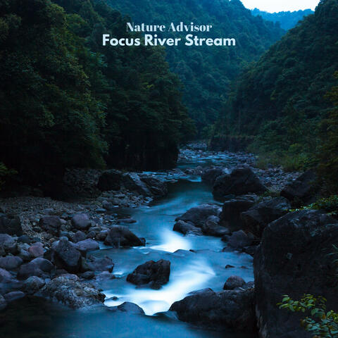 Focus River Stream