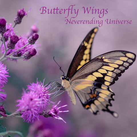 Neverending Universe