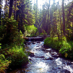 The Flowing Natural White Noise