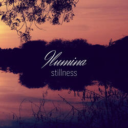 Stillness