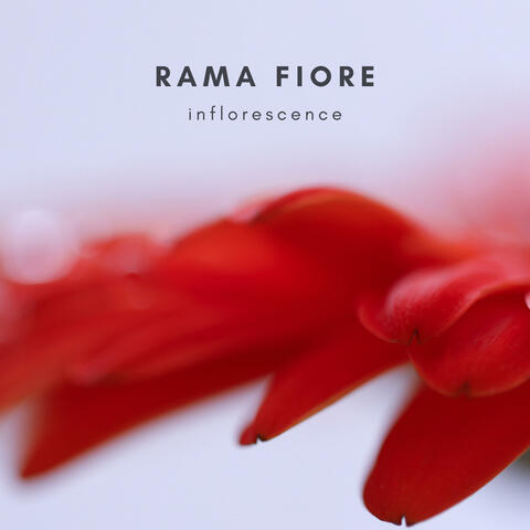 Inflorescence
