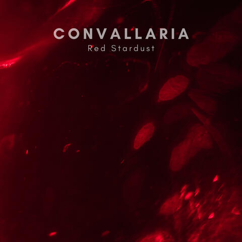 Red Stardust